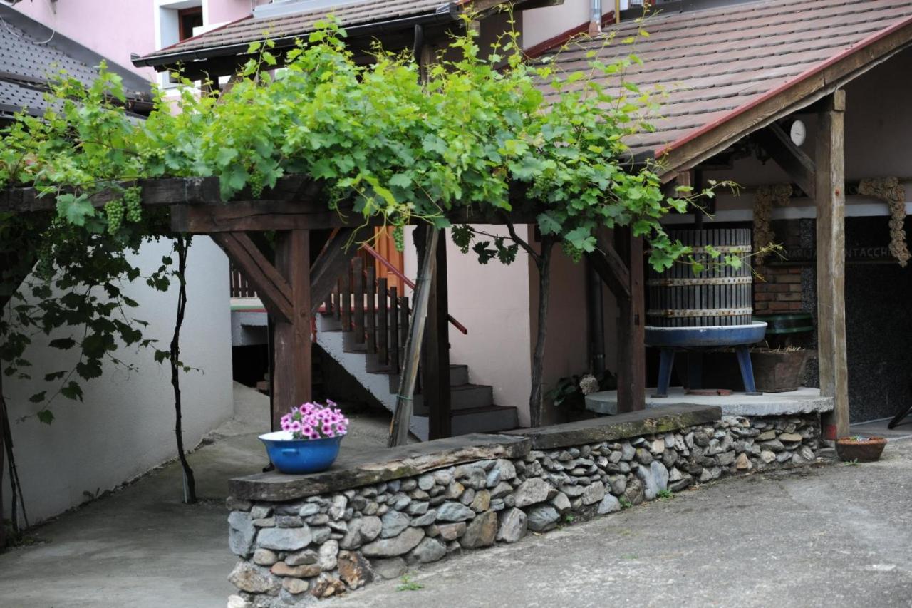 Wellness B&B Winery Sontacchi Kutjevo Ngoại thất bức ảnh